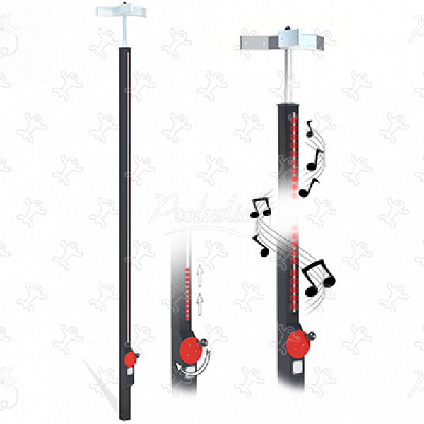 J3451-R® Áreas de juegos actividades lúdicas sensoriales juegos interactivos imagen 3d