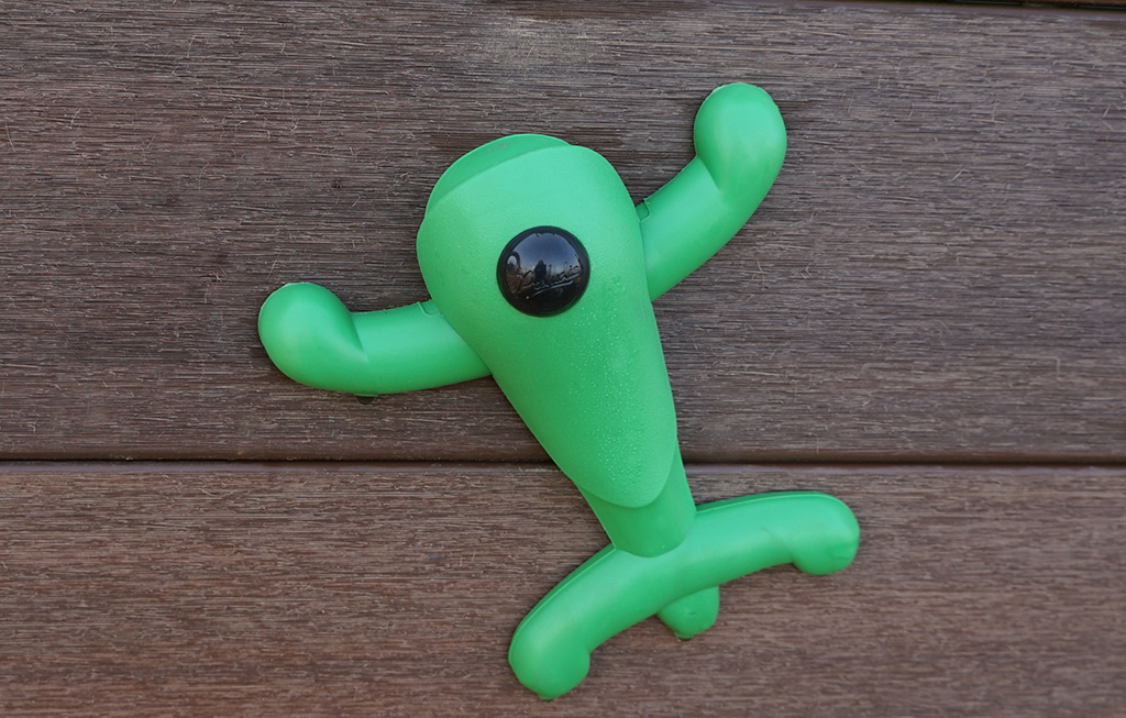 Las ranitas de escalada