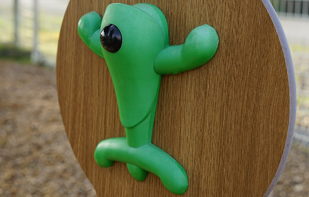 Las ranitas de escalada