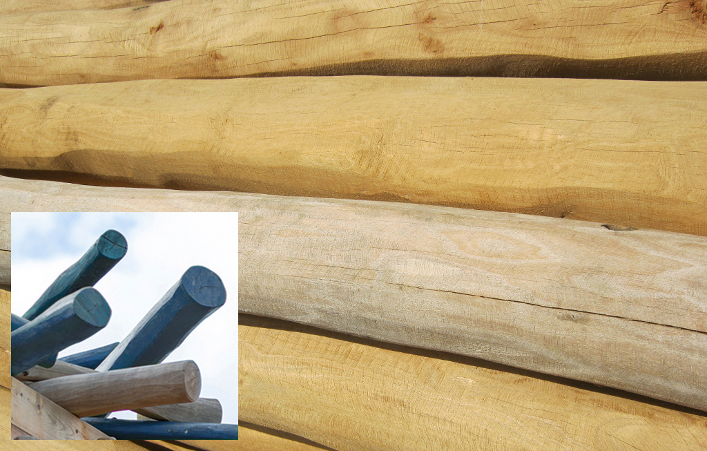 Los diferentes postes