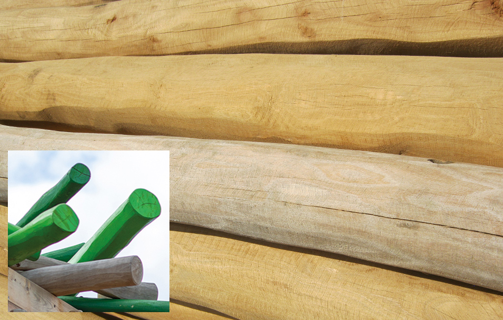 Los diferentes postes