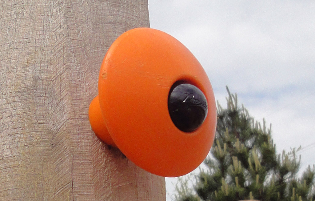 Las tomas de escalada