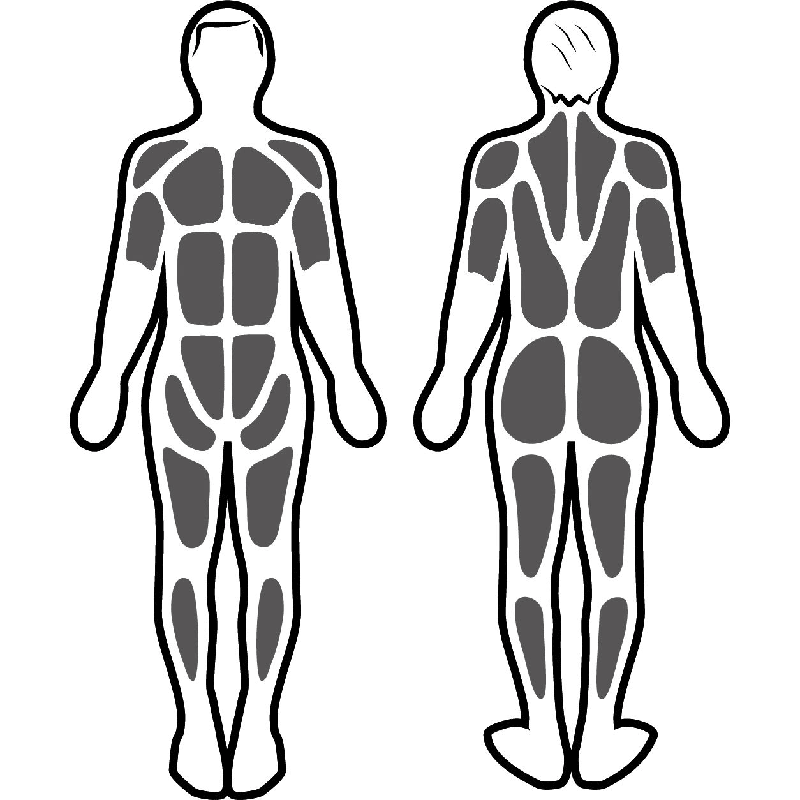 Estimulación muscular