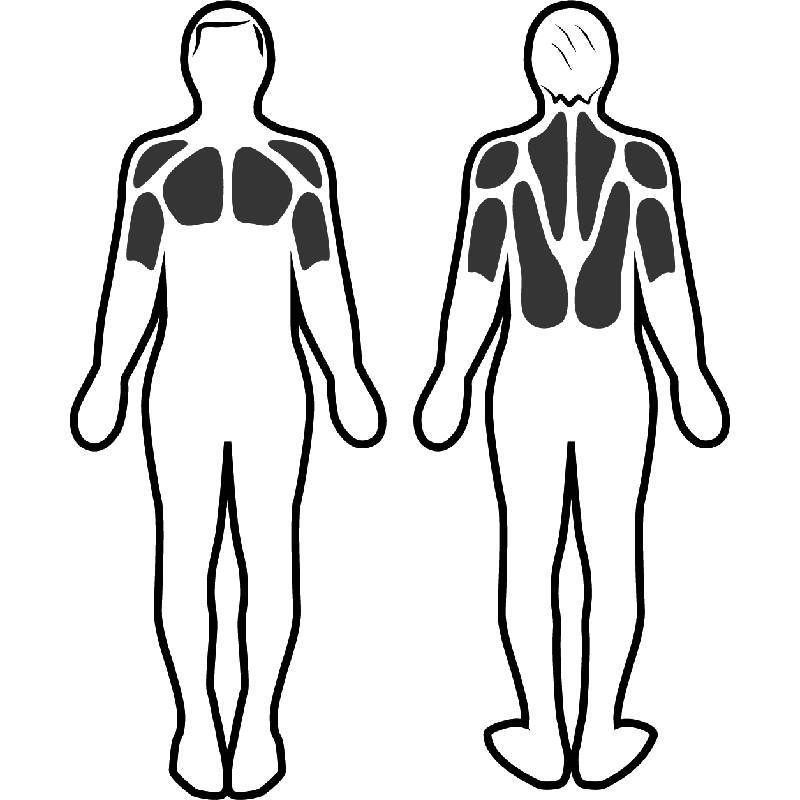 Estimulación muscular