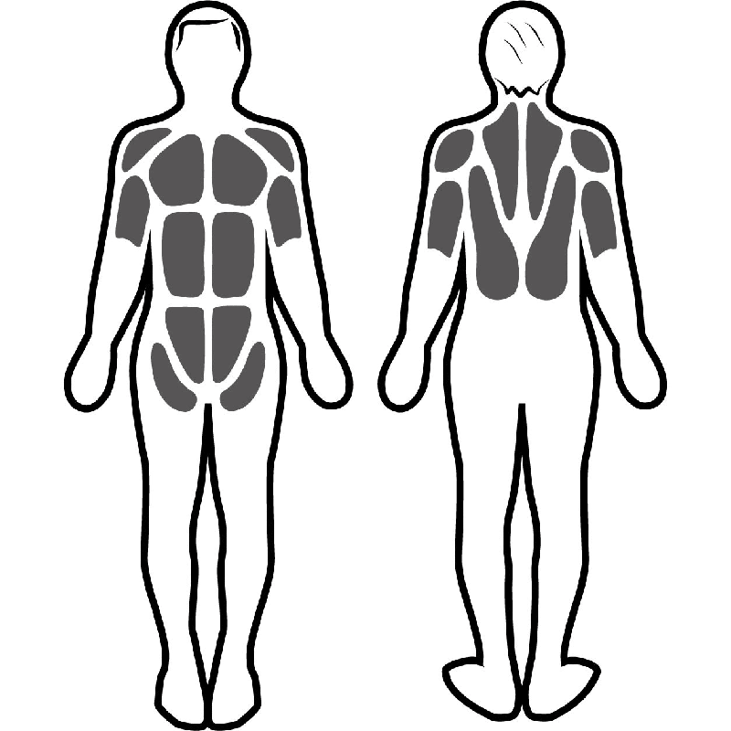 Estimulación muscular