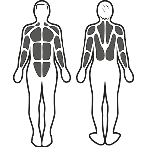 Estimulación muscular
