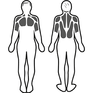 Estimulación muscular
