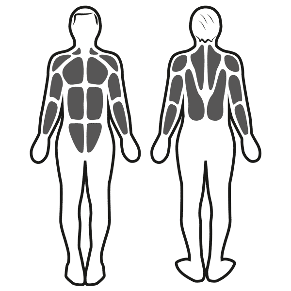 Estimulación muscular