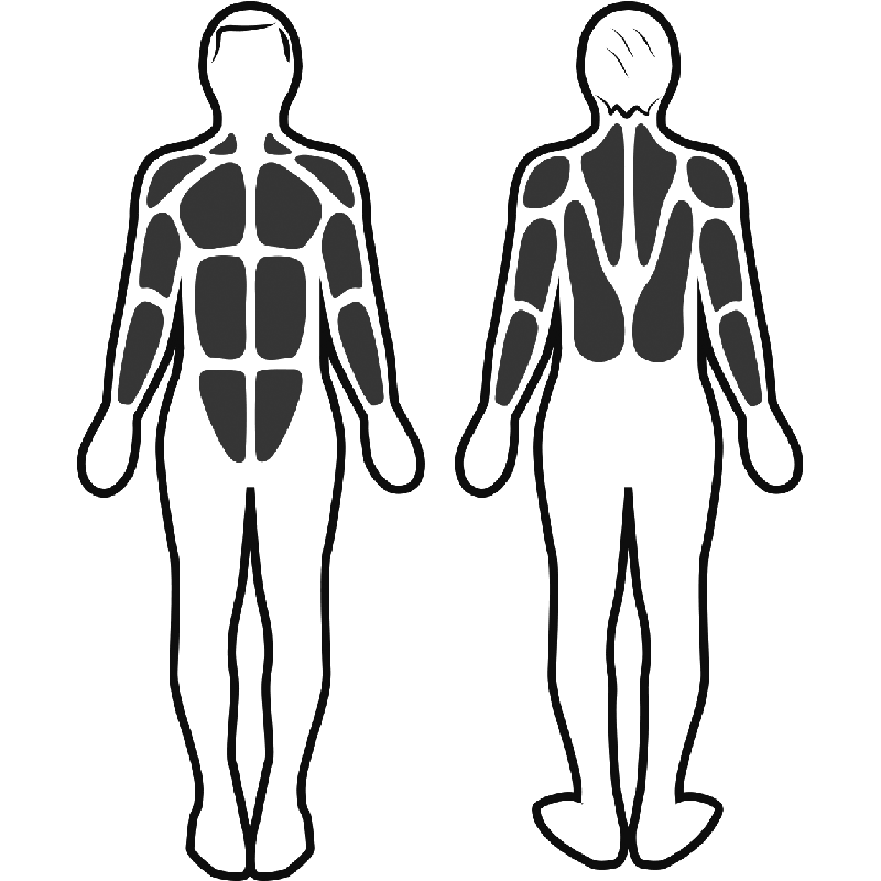 Estimulación muscular