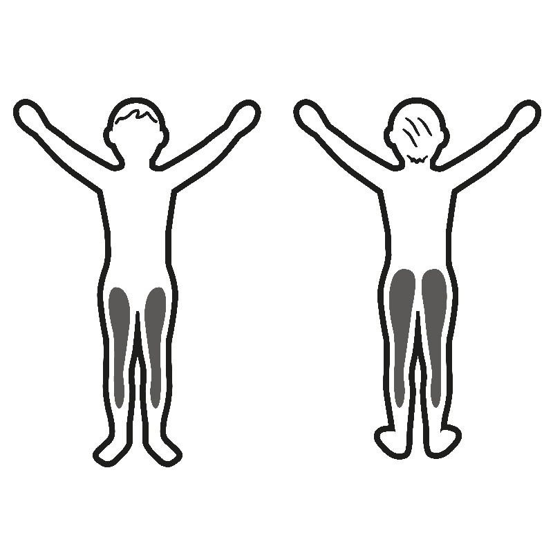 Estimulación muscular