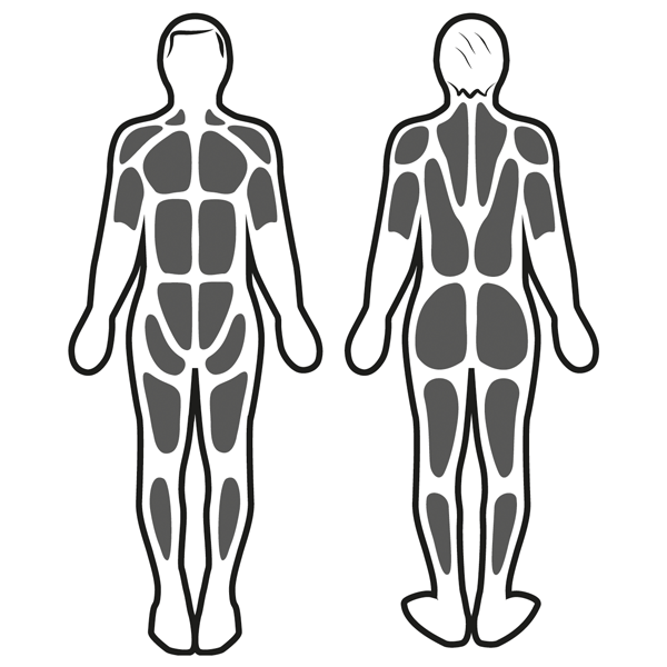 Estimulación muscular