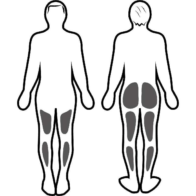 Estimulación muscular