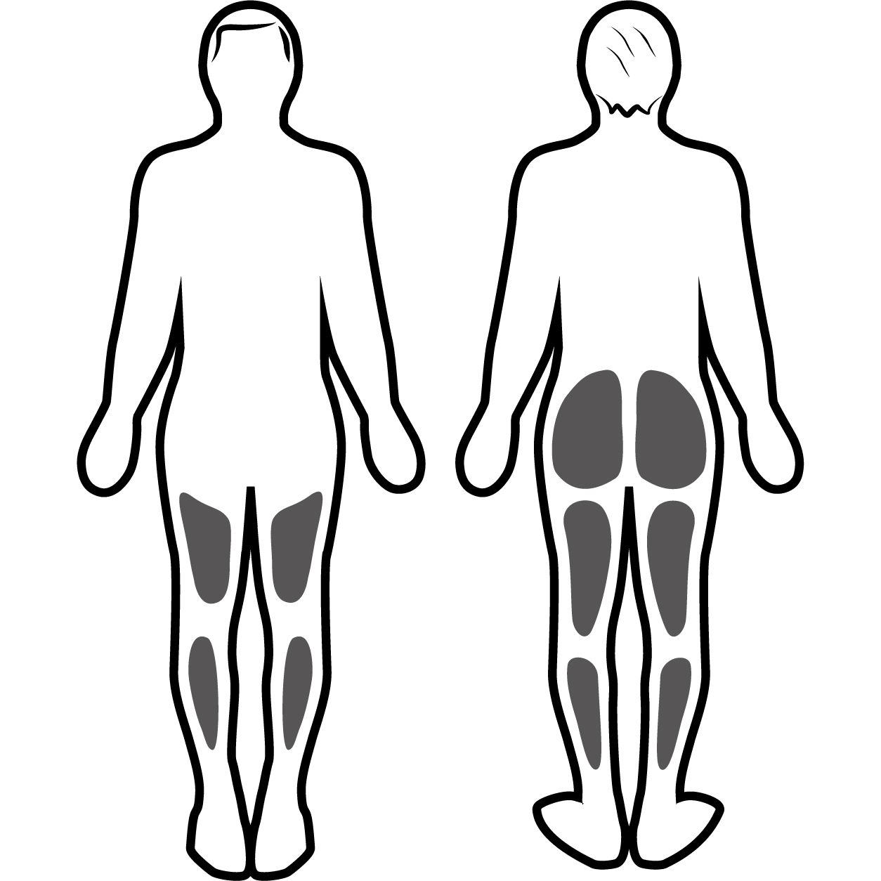 Estimulación muscular