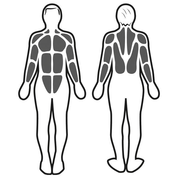 Estimulación muscular