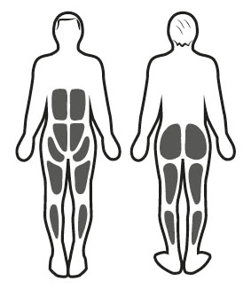 Estimulación muscular